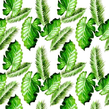 Tropikal Hawaii palmiye ağacı desen bir suluboya tarzında bırakır..