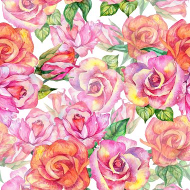 Kır çiçeği gül çiçek deseni suluboya tarzında.