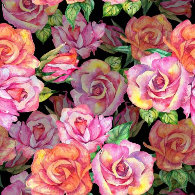 Kır çiçeği gül çiçek deseni suluboya tarzında.