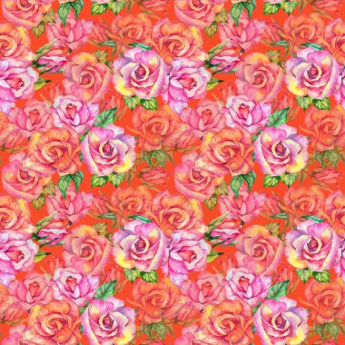 Kır çiçeği gül çiçek deseni suluboya tarzında.