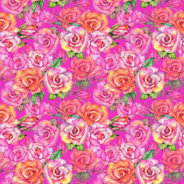 Kır çiçeği gül çiçek deseni suluboya tarzında.