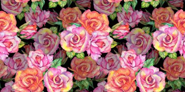 Kır çiçeği gül çiçek deseni suluboya tarzında.