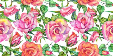 Kır çiçeği gül çiçek deseni suluboya tarzında.