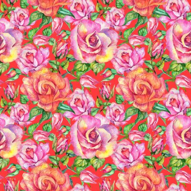 Kır çiçeği gül çiçek deseni suluboya tarzında.