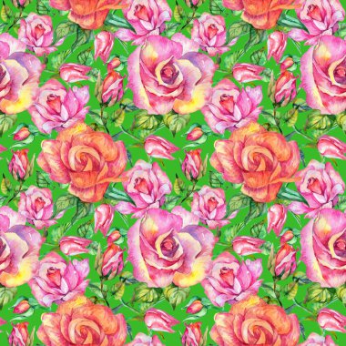 Kır çiçeği gül çiçek deseni suluboya tarzında.