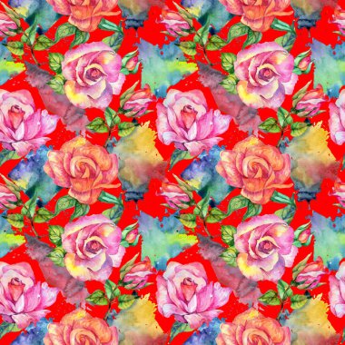 Kır çiçeği gül çiçek deseni suluboya tarzında.