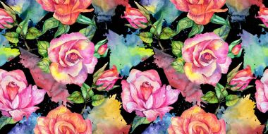 Kır çiçeği gül çiçek deseni suluboya tarzında.