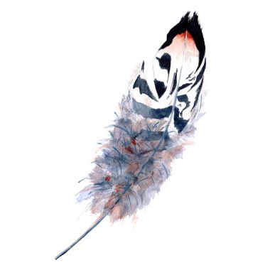 Suluboya kuş tüyü izole kanat üzerinden.