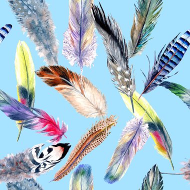 Suluboya kuş tüyü desen Wing.