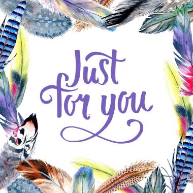 Suluboya kuş kanat tüy çerçevesinden.