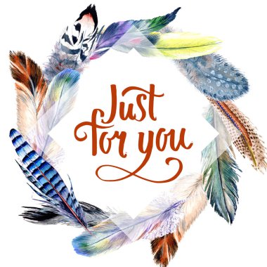 Suluboya kuş kanat tüy çerçevesinden.