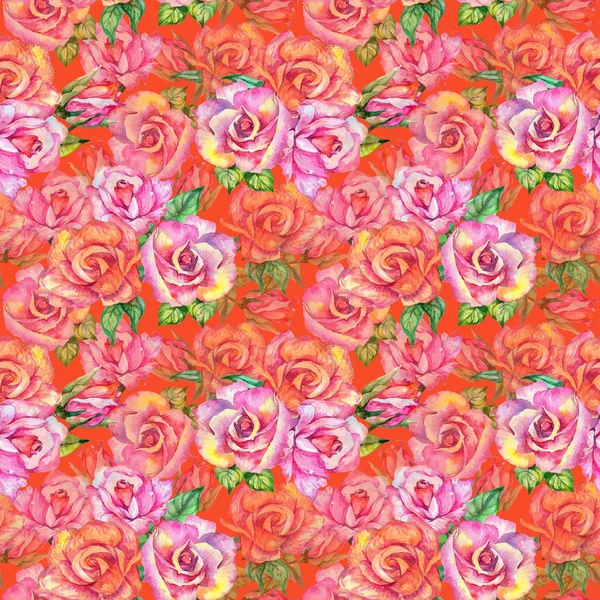 Wildflower rose flower pattern in a watercolor style. — Stock Photo, Image