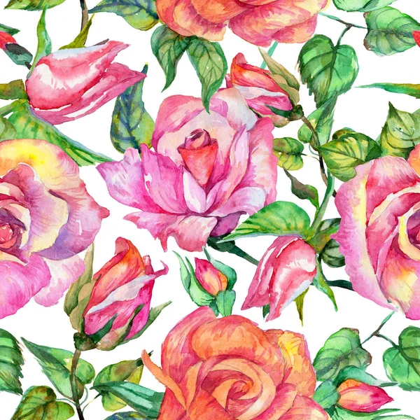 Wildflower rose flower pattern in a watercolor style. — Stock Photo, Image