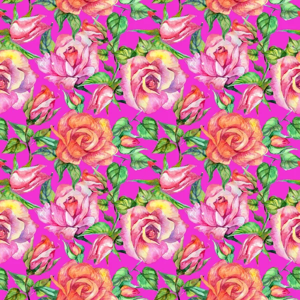 Wildflower τριαντάφυλλο λουλούδι μοτίβο σε στυλ υδροχρώματος. — Φωτογραφία Αρχείου