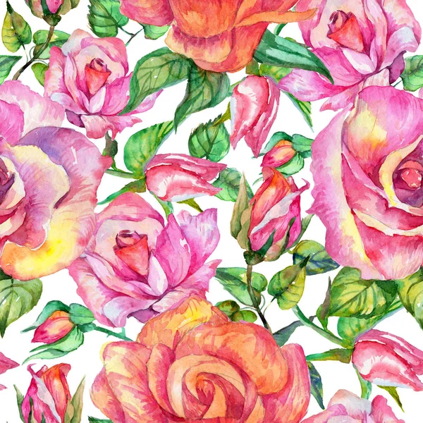 Fiore di campo rosa modello di fiore in stile acquerello . — Foto Stock