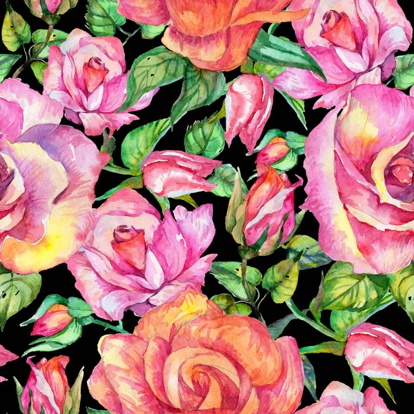 Motif fleur rose sauvage dans un style aquarelle . — Photo