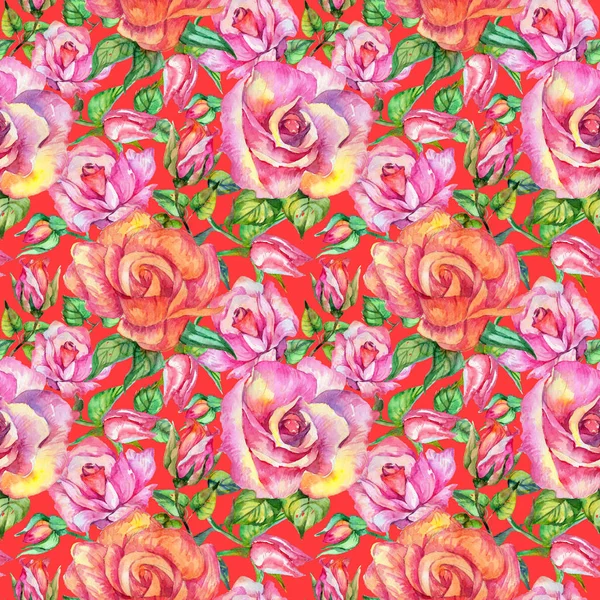 Wildflower rose flower pattern in a watercolor style. — Stock Photo, Image