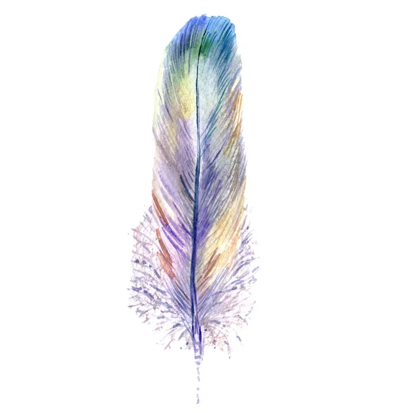 Watercolor bird feather from wing isolated. — Stock Photo, Image