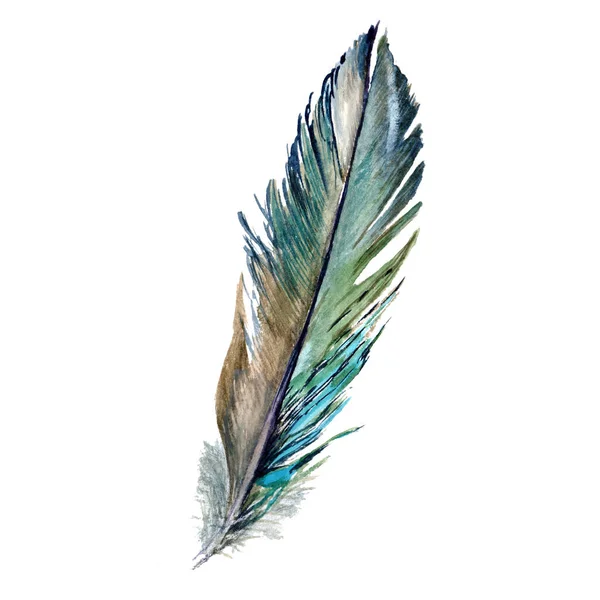 Plume d'oiseau aquarelle de l'aile isolée . — Photo