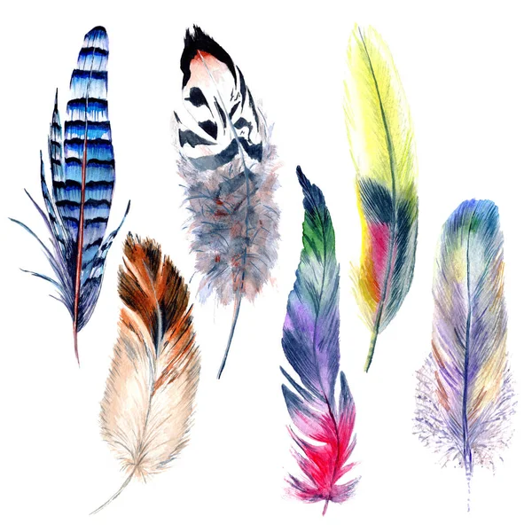 Watercolor bird feather pattern from wing. — Stock Photo, Image