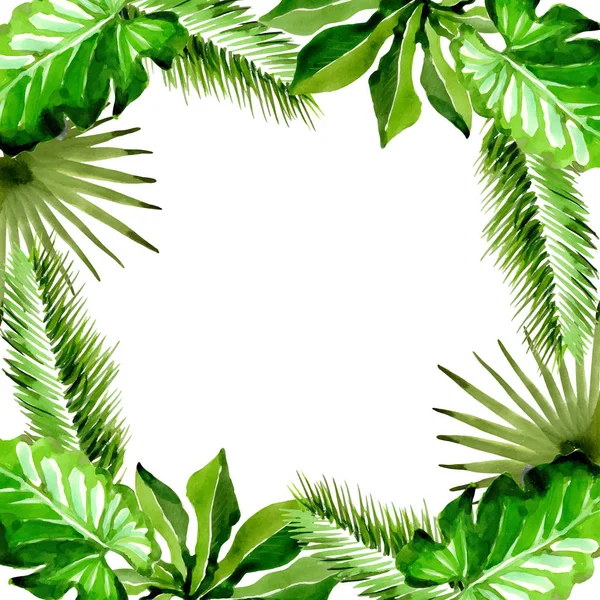 Tropical Hawaii deja marco de palmera en un estilo vectorial . — Vector de stock