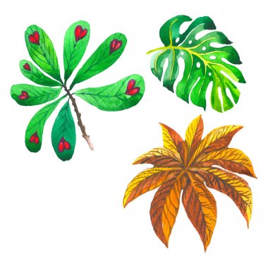 Tropikal Hawaii palmiye ağacı izole bir vektör tarzda bırakır..