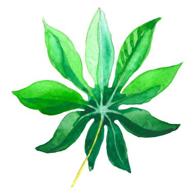 Tropikal Hawaii palmiye ağacı izole bir vektör tarzda bırakır..