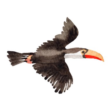 Gökyüzü kuş toucan izole vektör stili tarafından bir yaban hayatı içinde.