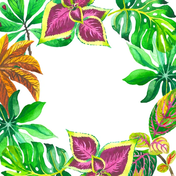 Tropical Hawaii deja marco de palmera en un estilo vectorial . — Archivo Imágenes Vectoriales