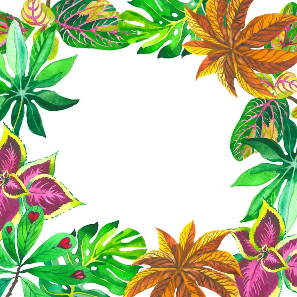 Tropical Hawaii deja marco de palmera en un estilo vectorial . — Archivo Imágenes Vectoriales