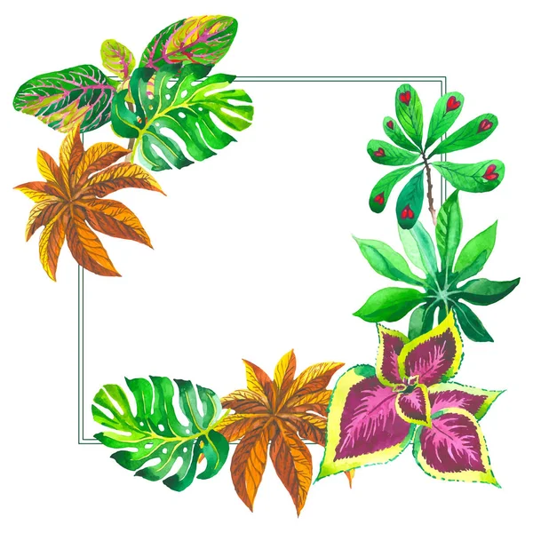 Tropical Hawaii deixa quadro de palmeira em um estilo vetorial . —  Vetores de Stock