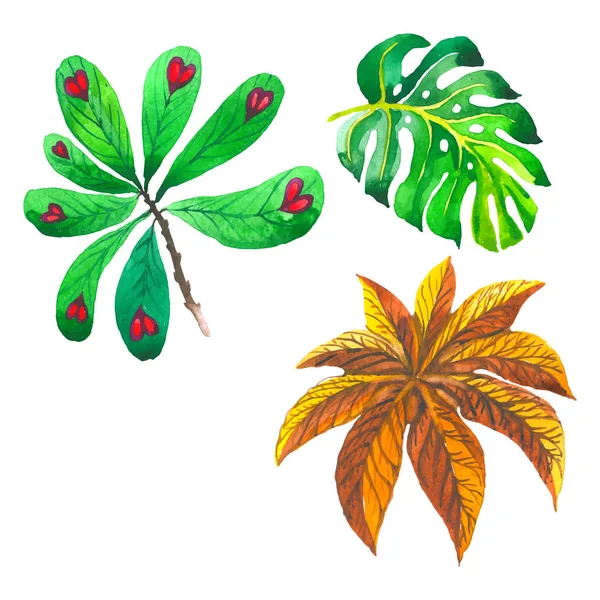 Tropische Hawaii verlaat palmboom in de stijl van een vector geïsoleerd. — Stockvector