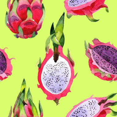 Egzotik pitaya vahşi frukt desen suluboya tarzında.