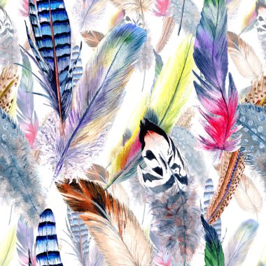 Suluboya kuş tüyü desen Wing.