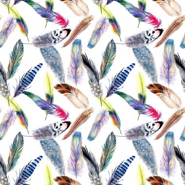 Suluboya kuş tüyü desen Wing.