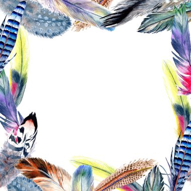 Suluboya kuş kanat tüy çerçevesinden.