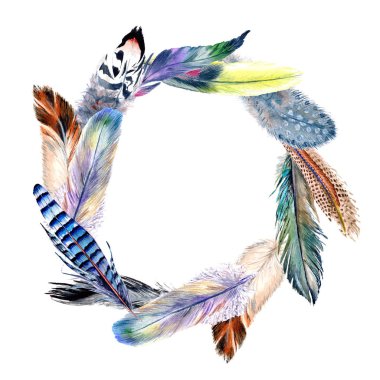 Suluboya kuş tüyü çelenk Wing.