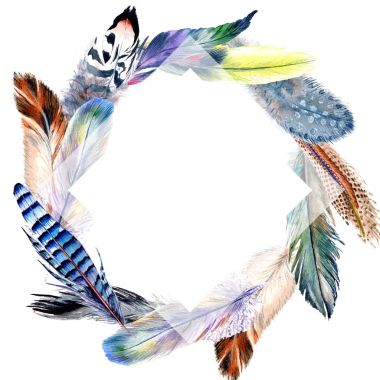 Suluboya kuş kanat tüy çerçevesinden.