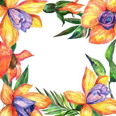 Kır çiçeği orkide çiçek çerçeve suluboya tarzında.