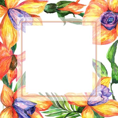 Kır çiçeği orkide çiçek çerçeve suluboya tarzında.