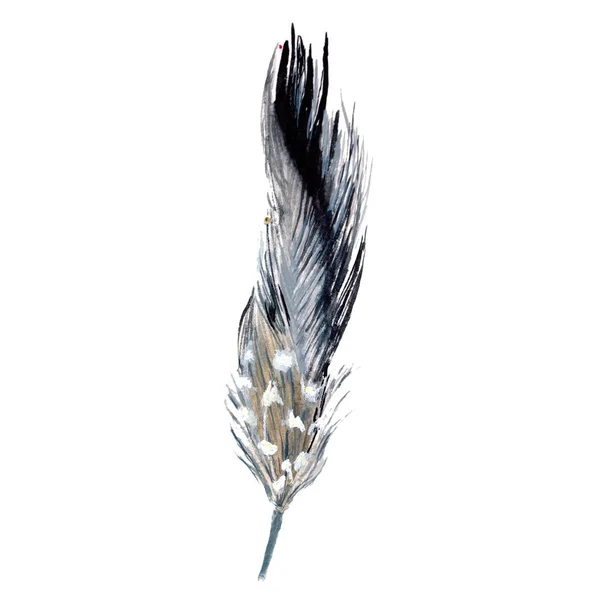 Pióro ptak akwarela z skrzydła na białym tle. — Zdjęcie stockowe