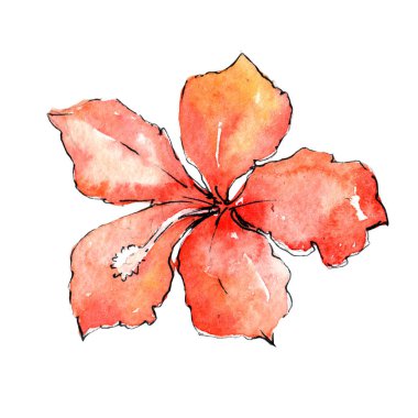 Tropikal Hawaii palmiye ağacı izole bir suluboya tarzında bırakır..