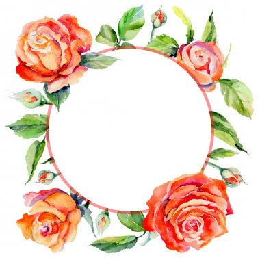 Kır çiçeği gül çiçek çerçeve suluboya tarzında.