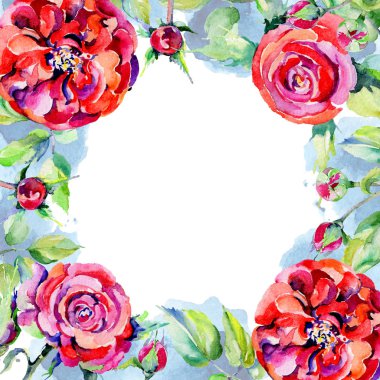 Kır çiçeği gül çiçek çerçeve suluboya tarzında.