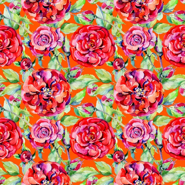 Kır çiçeği gül çiçek deseni suluboya tarzında.