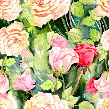 Kır çiçeği gül çiçek deseni suluboya tarzında.