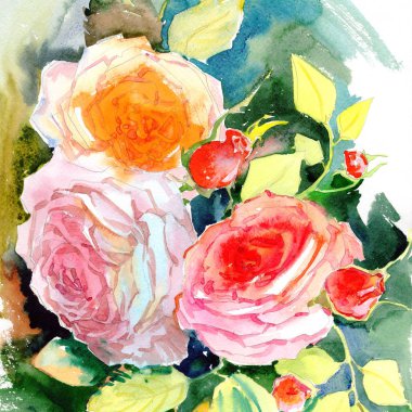 Kır çiçeği güller çiçek deseni suluboya tarzında.