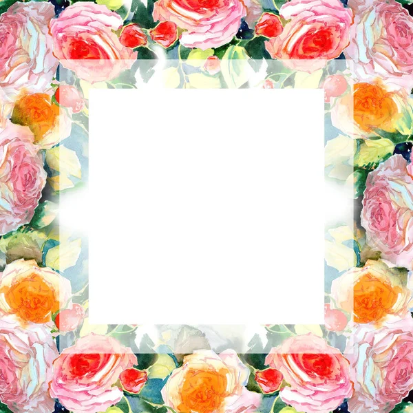 Wildflower roses flower frame in a watercolor style. — Stock Photo, Image