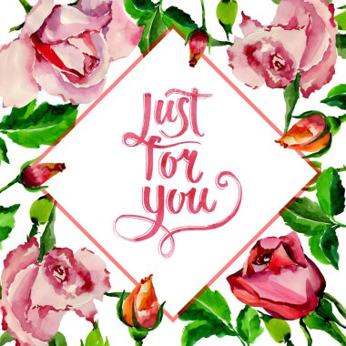 Kır çiçeği gül çiçek çerçeve suluboya tarzında.