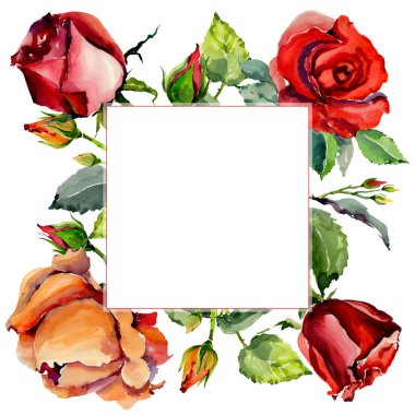 Kır çiçeği gül çiçek çerçeve suluboya tarzında.